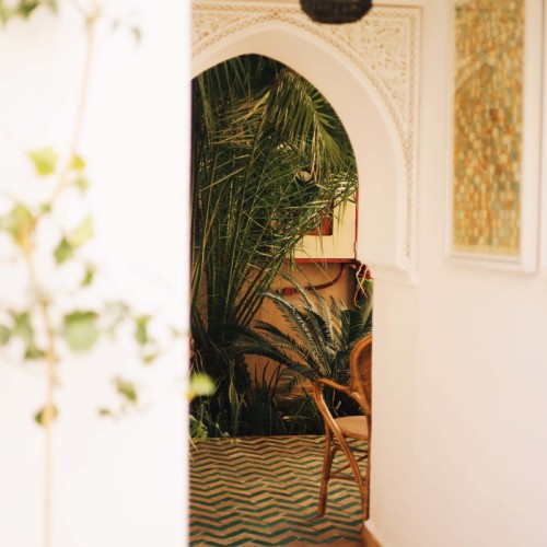 Processed with VSCO with a1pro preset