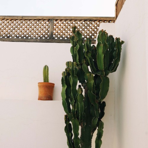 Processed with VSCO with a1pro preset