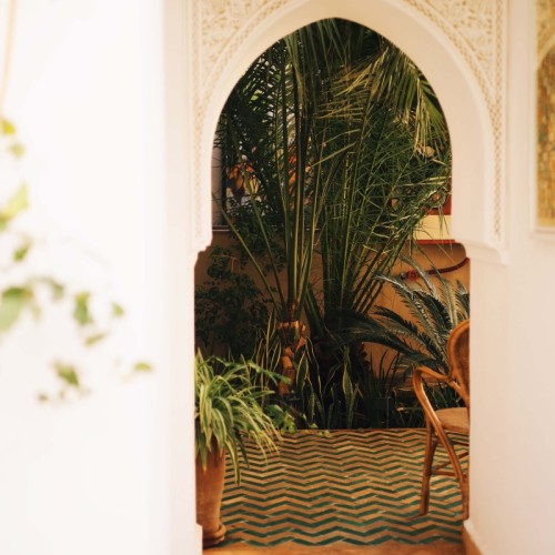 Processed with VSCO with a1pro preset