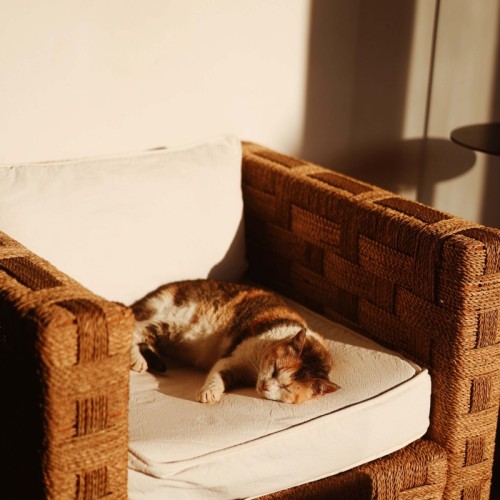 Processed with VSCO with a4pro preset