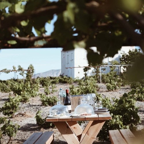 Processed with VSCO with a4pro preset