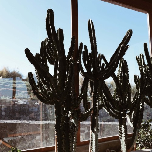 Processed with VSCO with a4pro preset