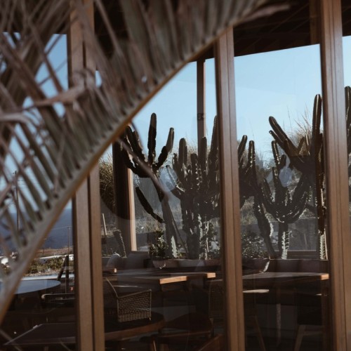 Processed with VSCO with a4pro preset